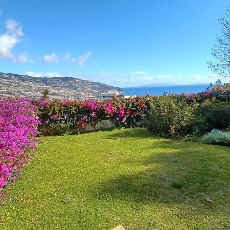 Belvedere Boutique - Adults only Funchal  Extérieur photo